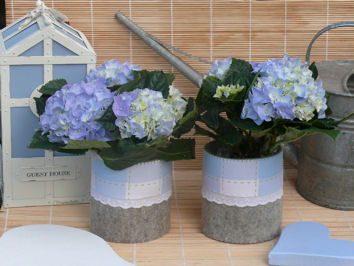 Tintangel 2010 &ndash; Collectie Huis, Tuin & Woondecoraties