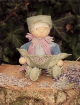 Lotte Lavendel