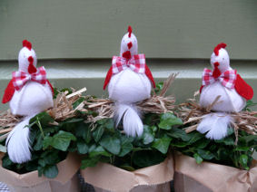 Tintangel 2011 &ndash; Drie Hippe Kippen op Stroo.